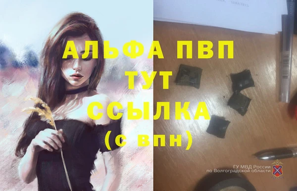 бошки Аркадак