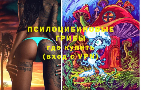 бошки Арсеньев
