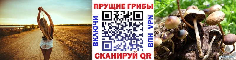 Псилоцибиновые грибы Psilocybine cubensis  hydra онион  Байкальск 